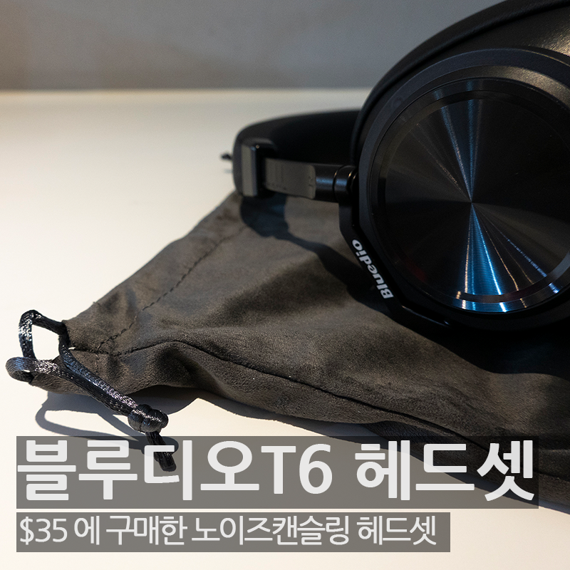 bluedio-t6